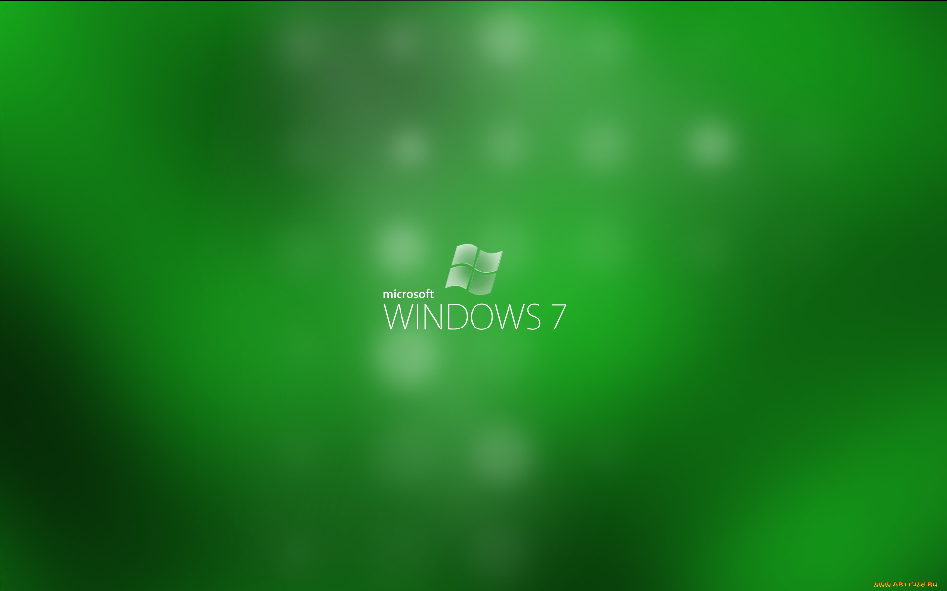 , windows, vienna